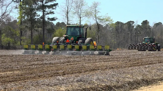 So far this season, Betty Allen Farms in Latta, S.C., spent tens of thousands of dollars more on diesel than they’re used to spending. Photo: FOX Business