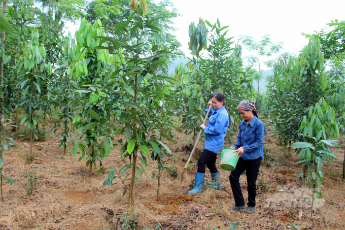 Truyền thống cách mạng cùng với sự vào cuộc của cả hệ thống chính trị mang lại kỳ vọng lớn cho huyện Định Hóa đạt chuẩn xây dựng NTM vào năm 2023. Ảnh: Đồng Văn Thưởng.