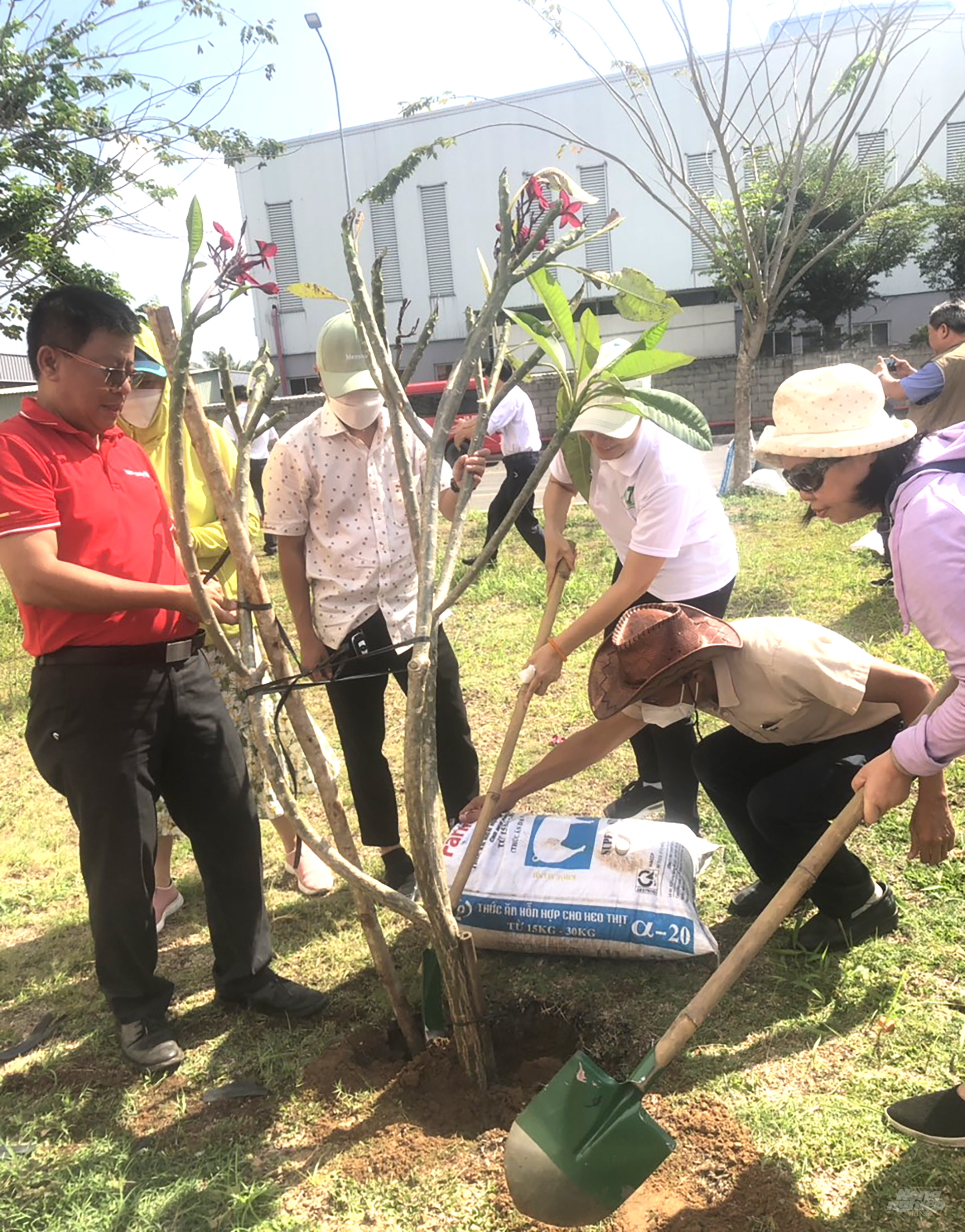 Đại diện lãnh đạo và nhân viên của công ty Điện Quang cùng tham gia tích cực hoạt động trồng cây xanh bảo vệ mội trường. Ảnh: Minh Sáng.