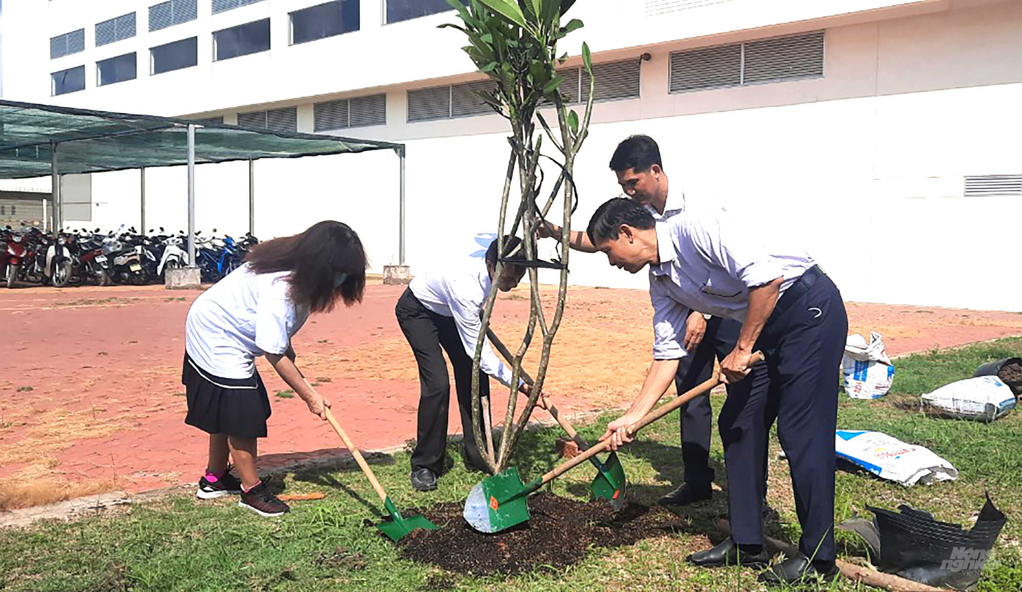 Hoạt động trồng cây xanh tại Nhà máy Điện Quang sẽ càng tăng thêm mối quan hệ gắn bó đoàn kết tinh thần vì môi trường của Điện Quang và Hội Hane. Ảnh: Minh Sáng.