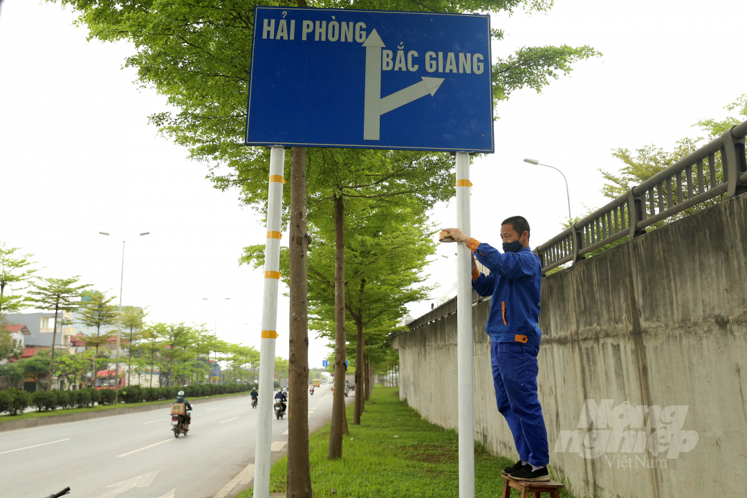 Cây bàng lá nhỏ được trồng khá nhiều trên tuyến đường Nguyễn Văn Linh, đặc biệt tại khu vực nút giao Quốc lộ 5 với lối lên cao tốc Hà Nội - Bắc Giang, rất nhiều hàng cây thẳng tắp đồng loạt 'thay áo' xanh mướt bắt mắt.