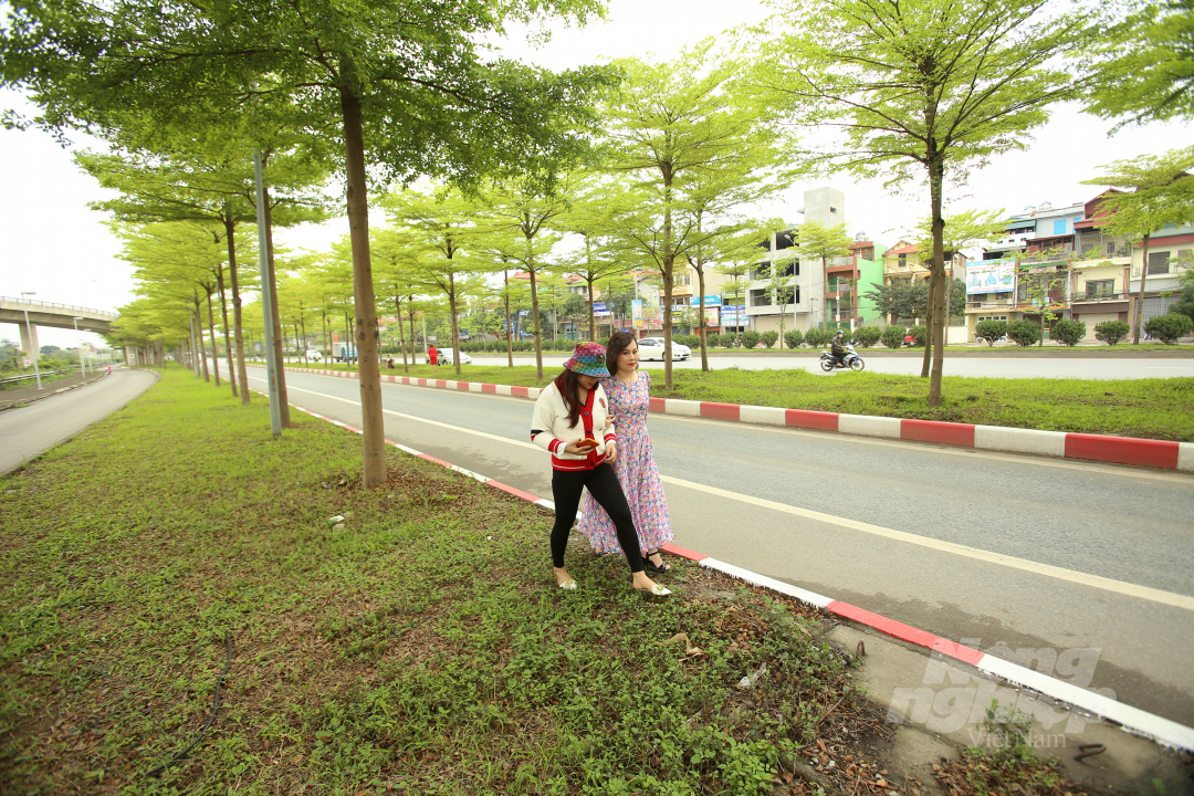 Chị Đoàn Kim Liên (Quận Thanh Xuân, Hà Nội) chia sẻ: 'Khi biết được trên tuyến đường này có hàng cây bàng lá nhỏ đẹp như tranh, tôi đã tranh thủ thời gian đến đây cùng bạn để chụp ảnh. Tại đây tôi thấy khung cảnh tuyệt đẹp, đúng thời điểm lá đang đổi màu xanh mướt và đã chụp được nhiều bức ảnh rất ưng ý.'