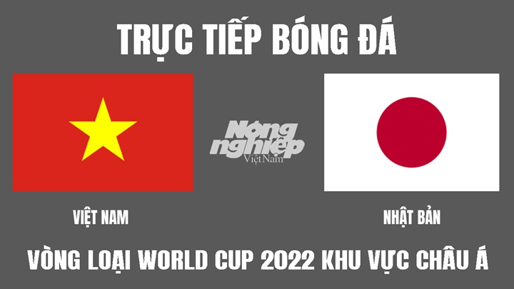 Trực tiếp bóng đá Vòng loại World Cup 2022 giữa Việt Nam vs Nhật Bản hôm nay 29/3/2022