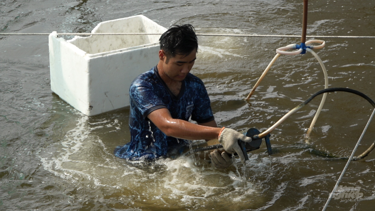 Người dân áp dụng công nghệ cao kết hợp nền tảng giám sát và quản lý từ xa với hệ thống thiết bị tự động tại ao nuôi như máy đo môi trường tự động theo dõi liên tục, tủ điều khiển được đấu nối với các thiết bị ngoài ao được điều khiển từ xa qua điện thoại hoặc máy tính. Ảnh: Hồng Thủy.