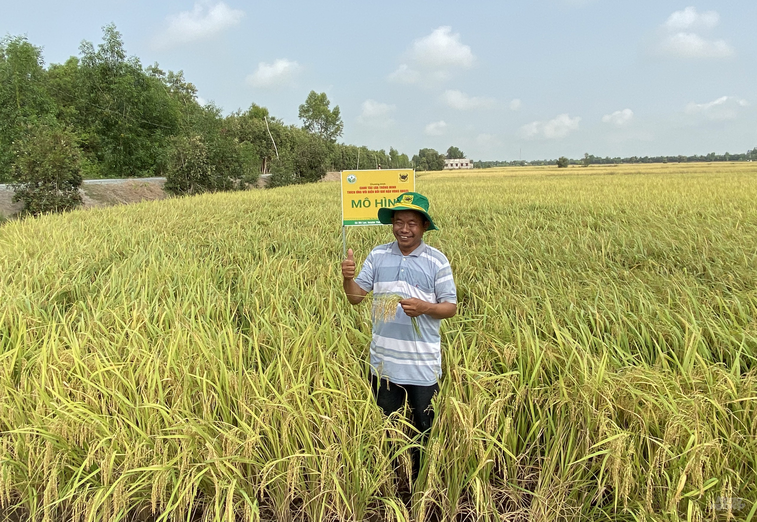 The models not only help update the skills of farmers but also have a great impact on neighboring farmers. Photo: Binh Dien.