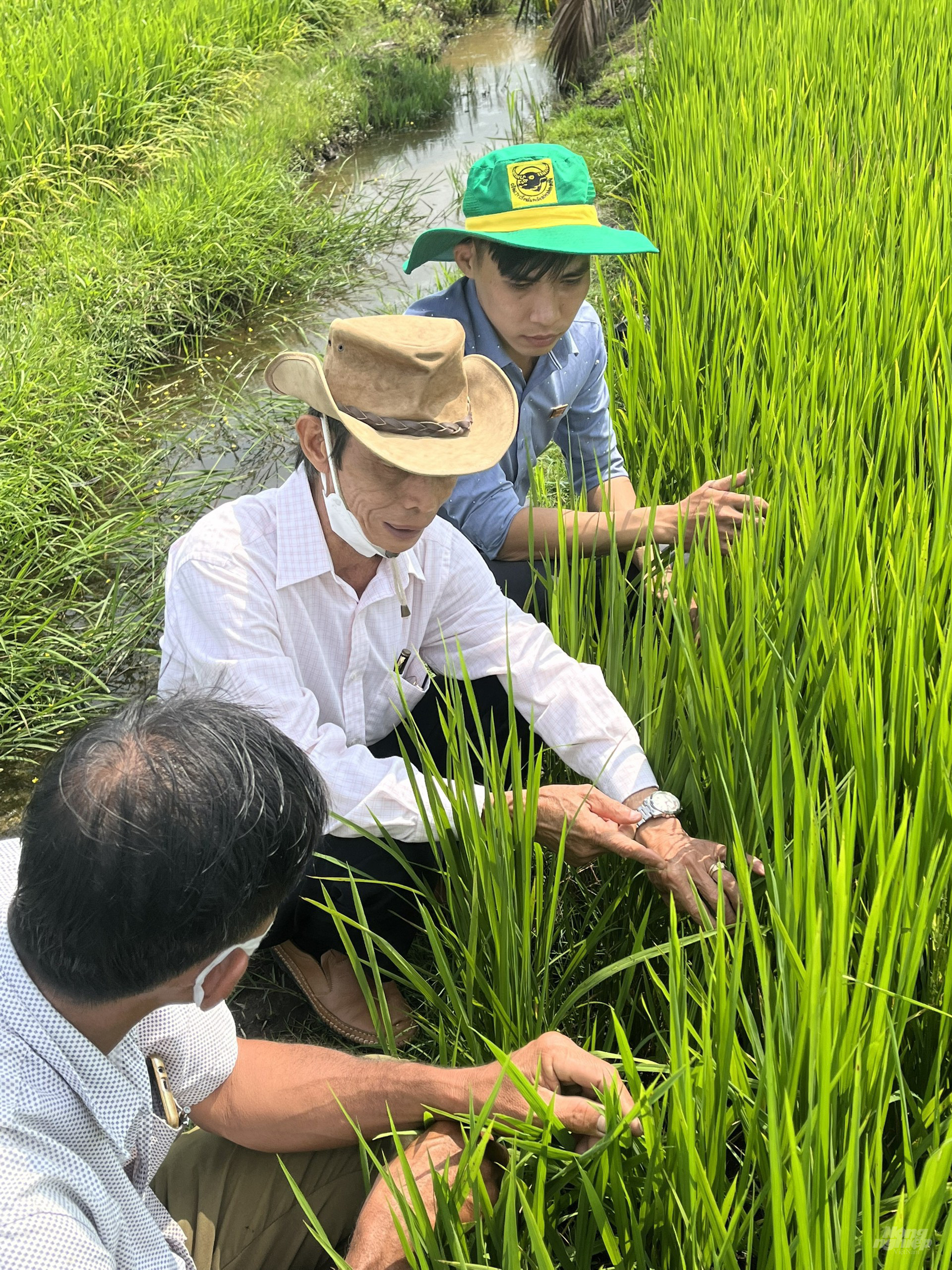 The advisory board and technical experts will regulate and add certain income criteria to evaluate the models' efficiency better. Photo: Binh Dien.