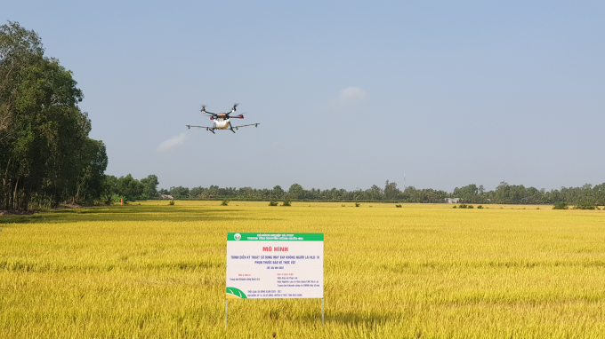 Using aircraft to spray pesticides helps to reduce the amount of pesticides and the number of sprays in the field. Photo: Kim Anh.