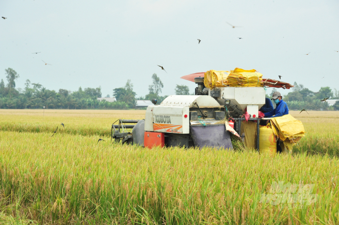 Dự án VnSAT đã hỗ trợ cho hàng ngàn nông dân trồng lúa ở ĐBSCL thay đổi tư duy sản xuất.  Ảnh: Lê Hoàng Vũ.