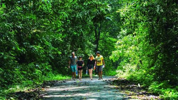 The first season 'Cuc Phuong Jungle Paths 2022' will take place on April 3, with about 2,500 domestic and international athletes participating. Photo: PV.