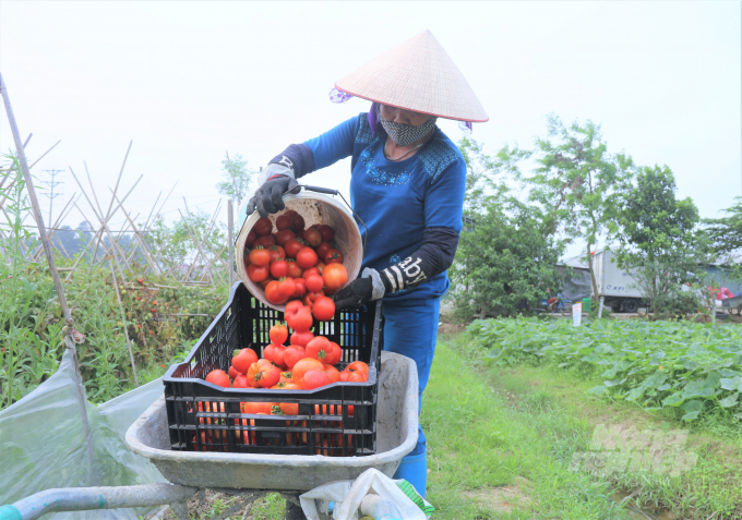 Các doanh nghiệp cung ứng thực phẩm đang ‘bỏ trống’ thị trường nông thôn, các vùng xa xôi, nghèo đói. Ảnh: Phạm Hiếu.