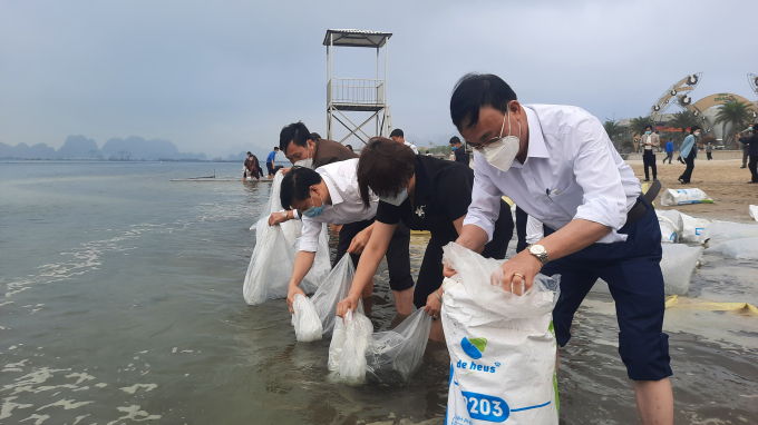 Hơn 2,3 triệu con giống thủy sản được thả tại vùng biển vịnh Bái Tử Long. Ảnh: Nguyễn Thành.