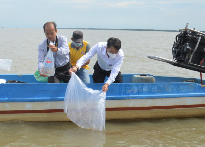 More than 2 million aquatic breeds were released in Kien Giang this morning. Photo: D.T. Chanh. 