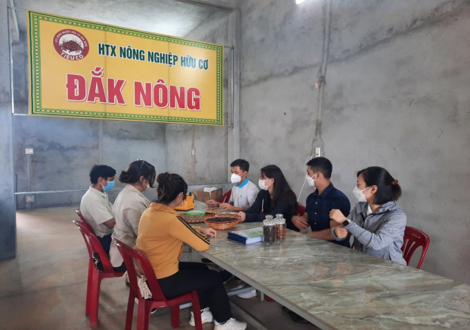 Đoàn công tác của các doanh nghiệp đến thăm và thử mẫu cà phê tại HTX nông nghiệp hữu cơ Đắk Nông.
