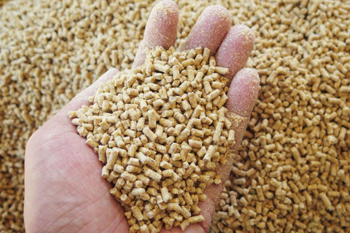 Many animal feed companies simultaneously increased the prices of their products from April 1. Photo: TL.