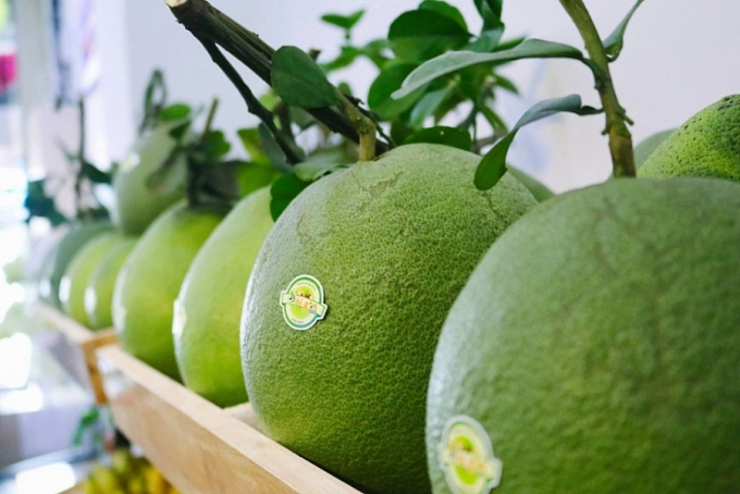The US made a number of requirements on plant quarantine for pomelos.