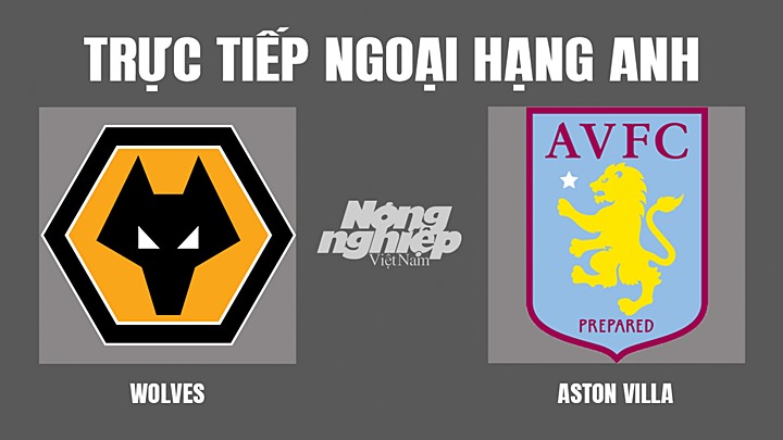 Trực tiếp bóng đá Ngoại hạng Anh giữa Wolves vs Aston Villa hôm nay 2/4/2022