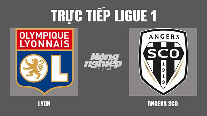 Trực tiếp bóng đá Ligue 1 giữa Lyon vs Angers SCO hôm nay 3/4/2022