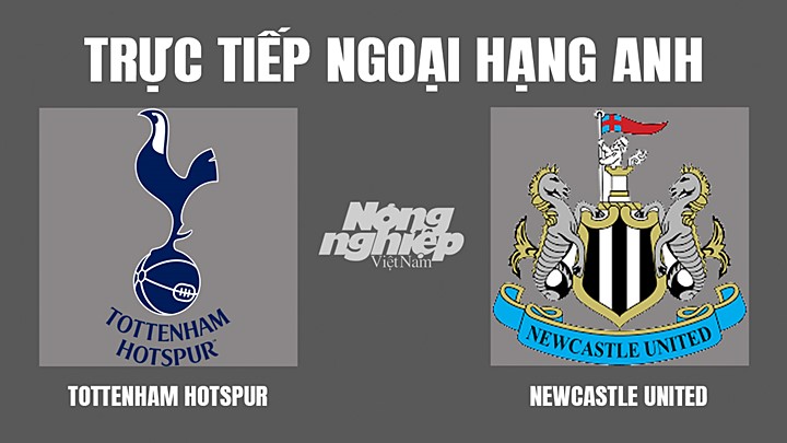 Trực tiếp bóng đá Ngoại hạng Anh giữa Tottenham vs Newcastle hôm nay 3/4/2022