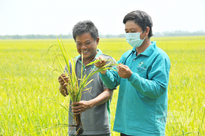 Ông Đỗ Văn Bình (ảnh trái), chủ cửa hàng VTNN Thanh Bình ở xã Tân Hiệp, huyện Tân Hiệp, Kiên Giang đánh giá cao các sản phẩm của Công ty Nông Dược Toàn Cầu vì mang đến sự hài lòng cho nông dân. Ảnh: Lê Hoàng Vũ.