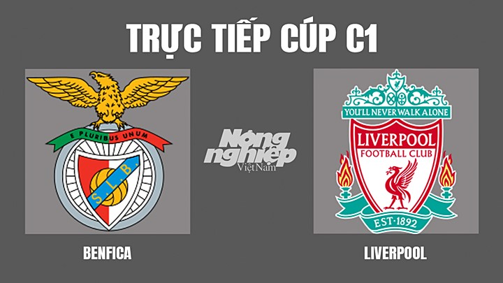 Trực tiếp bóng đá Cúp C1 Châu Âu giữa Benfica vs Liverpool hôm nay 6/4/2022