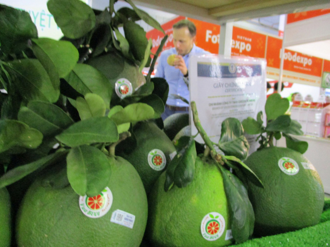 New Zealand consumers look forward to enjoying Vietnamese pomelos soon. Photo:  Nguyen Anh.