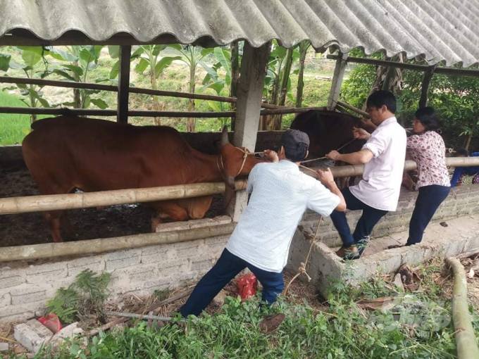 Nhận viên Thú y đang bị 'hắt hủi'. Ảnh: VD.