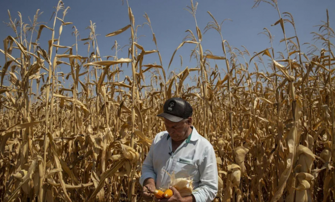 The $120 Billion Global Grain Trade Is Being Redrawn by Russia's War in Ukraine