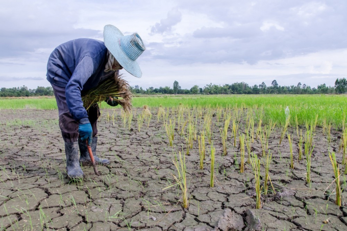 Biến đổi khí hậu, dịch bệnh, hạn hán và thiếu nước tưới phục vụ sản xuất nông nghiệp cũng đang là mối bận tâm của nông dân các nước. Ảnh: Getty 