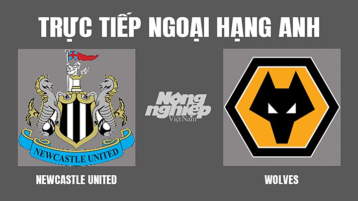 Trực tiếp bóng đá Ngoại hạng Anh giữa Newcastle vs Wolves hôm nay 9/4/2022