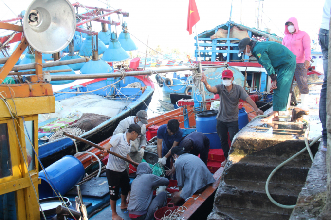 Quang Nam province is overcoming the shortage of marine labor by encouraging boat owners to apply new modern equipment for fishing. Photo: L.K.