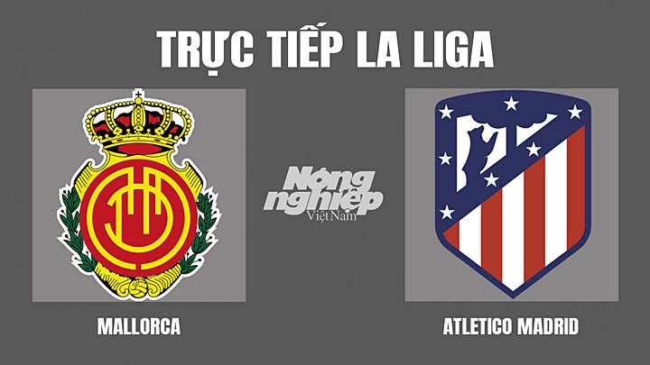 Trực tiếp bóng đá La Liga mùa giải 2021/2022 giữa Mollorca vs Atletico Madrid hôm nay 9/4