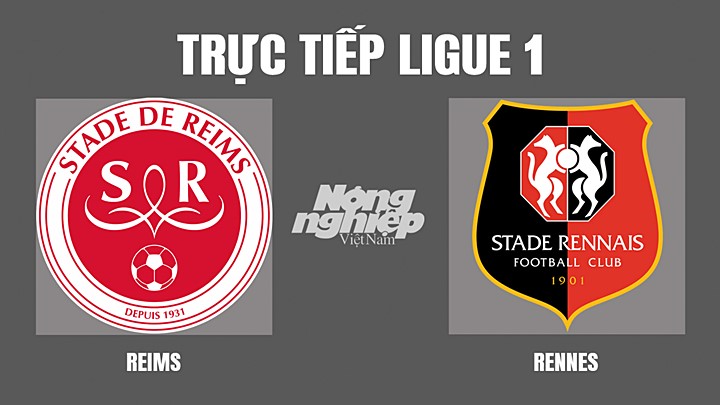 Trực tiếp bóng đá Ligue 1 giữa Reims vs Rennes hôm nay 9/4/2022