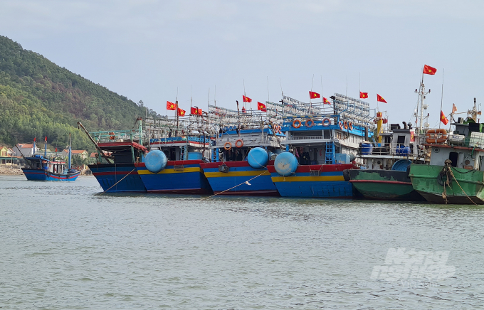 Nhìn chung ngành thủy sản Nghệ An vẫn còn rất nhiều việc phải làm. Ảnh: Việt Khánh.