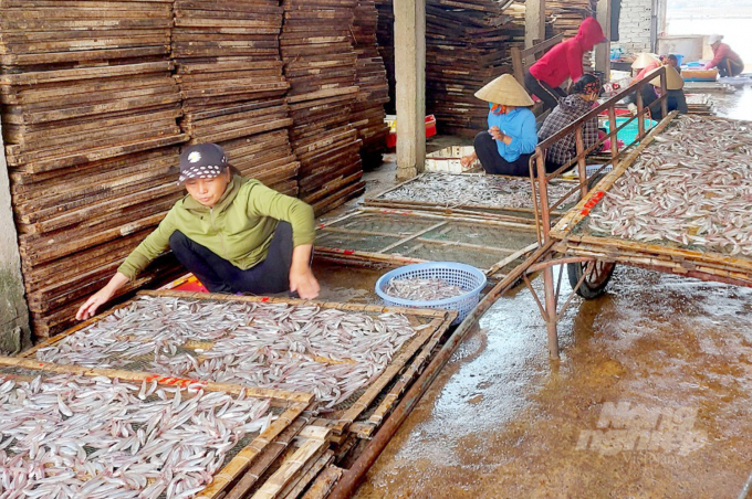 Mặc dù có đổi thay nhưng công tác chế biến thủy sản của Nghệ An vẫn còn nhiều hạn chế, phương thức truyền thống vẫn chiếm phần đa. Ảnh: Việt Khánh. 