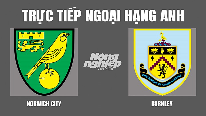 Trực tiếp bóng đá Ngoại hạng Anh giữa Norwich City vs Burnley hôm nay 10/4/2022