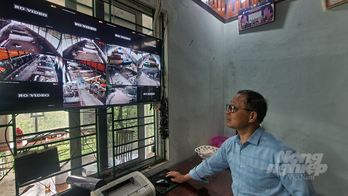 Ông Phước kiểm tra trang trại chăn nuôi lợn khép kín qua camera. Ảnh: Công Hải.