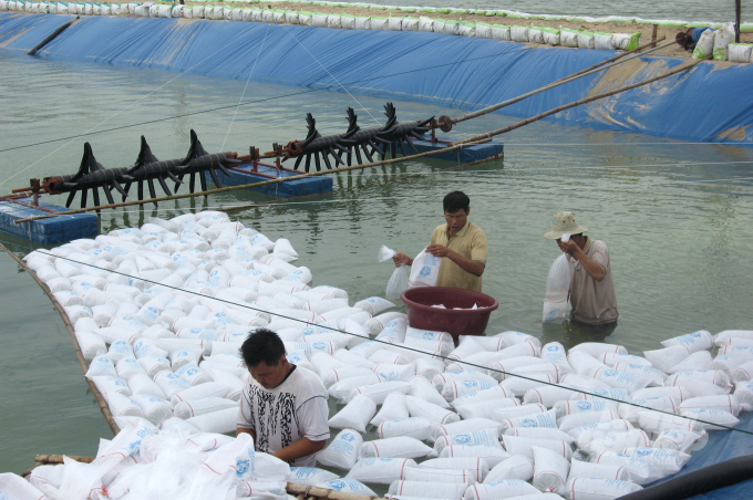 Ngành chức năng Quảng Trị tăng cường tuyên truyền, vận động người nuôi tôm không mua, không thả nuôi tôm giống không đạt tiêu chuẩn chất lượng. Ảnh: CĐ.