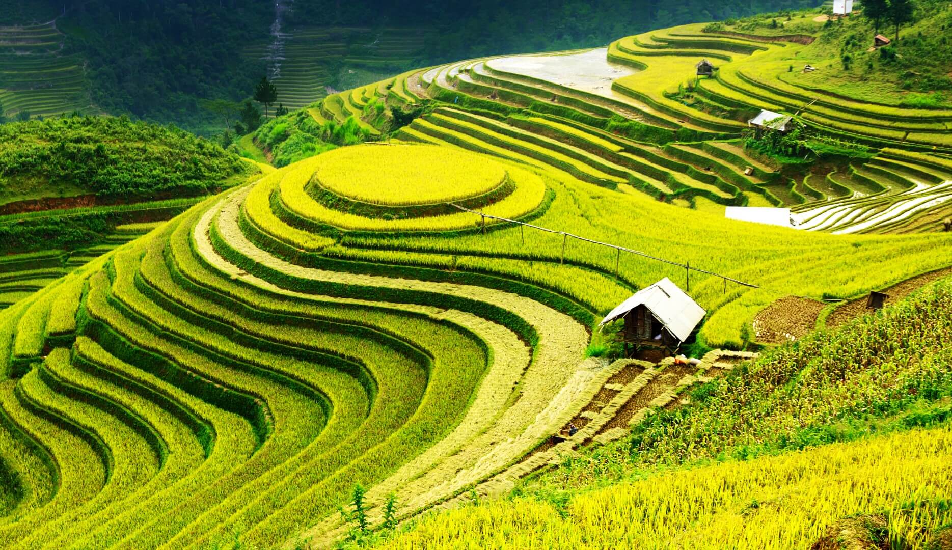 Bộ trưởng Lê Minh Hoan dùng hình ảnh ruộng bậc thang để nói về phát triển nông nghiệp cho khu vực trung du, miền núi phía Bắc. Ảnh minh họa.