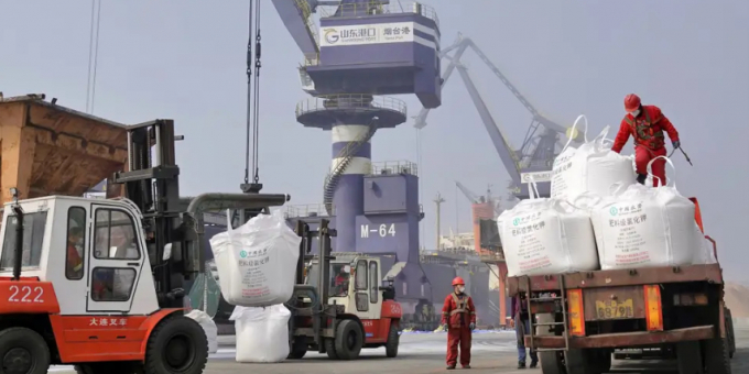Workers unloading imported fertilizer at the Port of Yantai in eastern China. Photo: Costfoto/Future Publishing