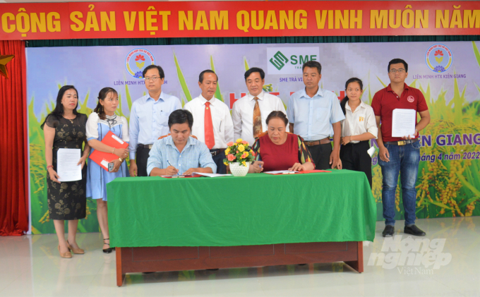 Tại hội nghị đã có nhiều biên bản ghi nhớ hợp tác giữa các hợp tác xã của tỉnh Trà Vinh và Kiên Giang được ký kết thực hiện, với sự chứng kiến của lãnh đạo Liên minh Hợp tác xã tỉnh Kiên Giang và Trà Vinh. Ảnh: Trung Chánh.