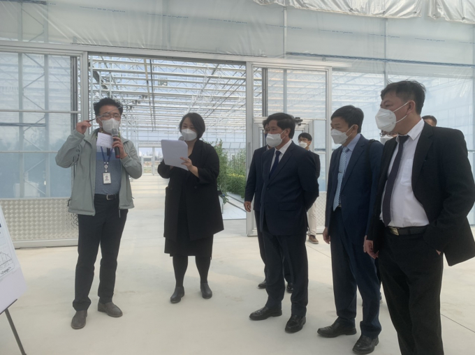 Deputy Minister Le Quoc Doanh (3rd from the right) visits a smart farm model in South Korea. Photo: Anh Tuan.