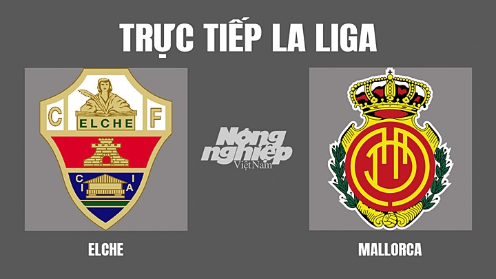 Trực tiếp bóng đá La Liga giữa Elche vs Mallorca hôm nay 16/4/2022