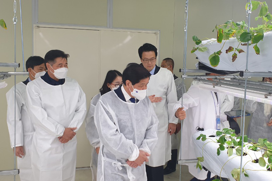Deputy Minister Le Quoc Doanh visited the high-tech Strawberry factory, a closed model of Royal K Group.