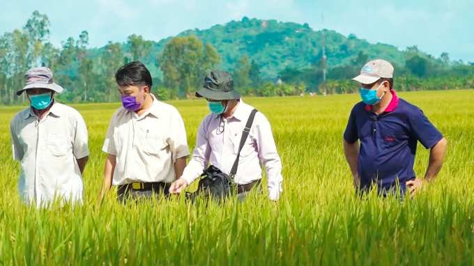 HTX nông nghiệp Hiếu Bình, huyện Vĩnh Thạnh, TP Cần Thơ là một trong những đơn vị đầu tiên của địa phương được Dự án VnSAT lựa chọn đầu tư cơ sở hạ tầng nông nghiệp, quy mô khoảng 10 tỷ đồng. Ảnh: Kim Anh.