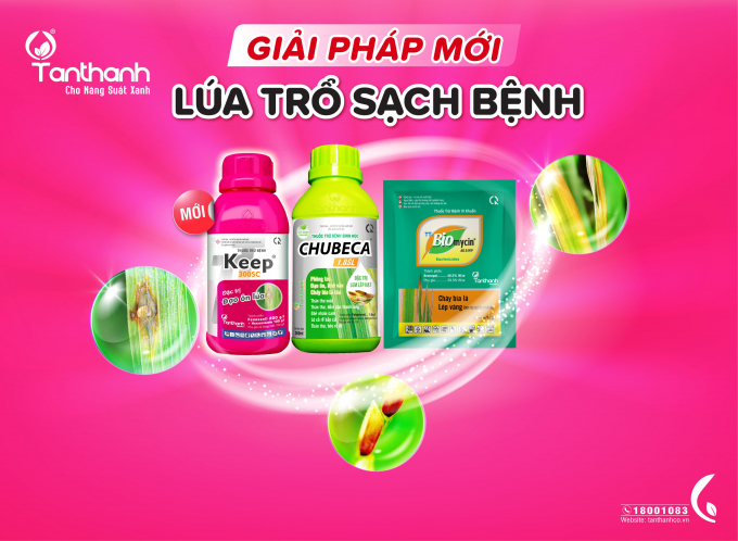 Bộ ba giải pháp mới giúp 'Lúa trỗ sạch bệnh' của Công ty TNHH Thương mại Tân Thành.