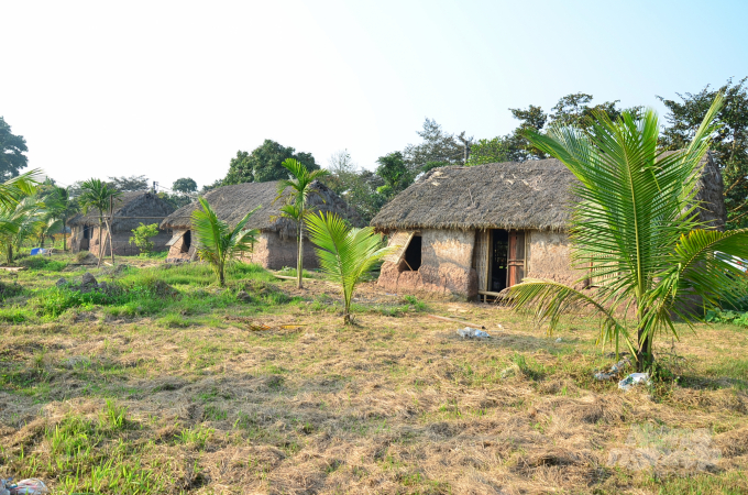 The old poor farmhouse was built in the middle of Mr. Hoa's estate. Photo: Duong Dinh Tuong.