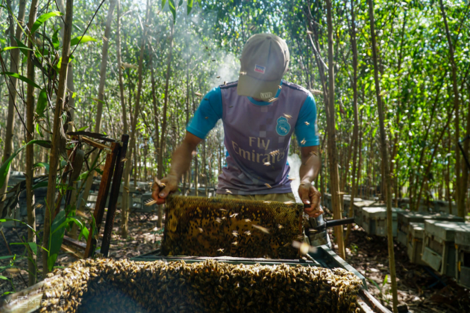 Vietnam has an estimated 1.74 million bee colonies with 3.5 thousand beekeepers and 31 enterprises exporting honey to the US. Photo: vnexpress.net.