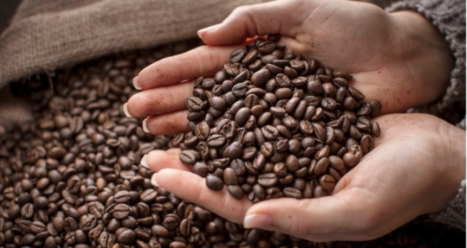 Coffee accounts for 65% of total exports to Algeria. Photo: TL.