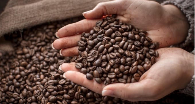 Cà phê chiếm 65% tổng giá trị xuất khẩu sang Algeria. Ảnh: TL.