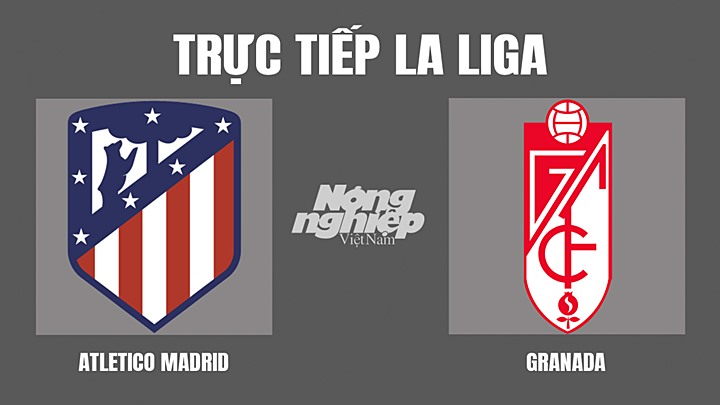 Trực tiếp bóng đá La Liga giữa Atletico Madrid vs Granada ngày 21/4/2022